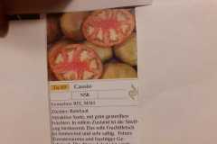 Impressionen_-10