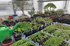 Impressionen_-2