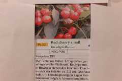 Impressionen_-20