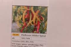 Impressionen_-22
