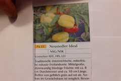 Impressionen_-24
