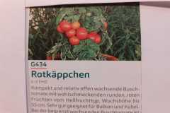 Impressionen_-31