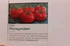 Impressionen_-33