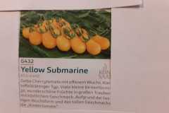 Impressionen_-34