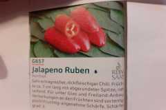 Impressionen_-39