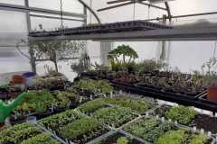 Impressionen_-4