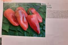 Impressionen_-41