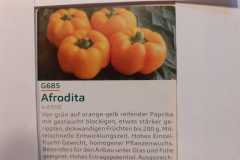 Impressionen_-43