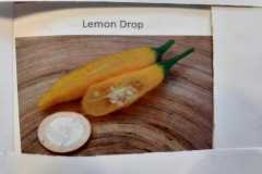 Impressionen_-44