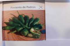 Impressionen_-46