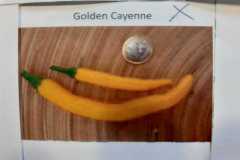 Impressionen_-47